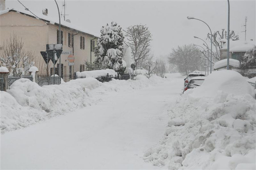 DSC_0113 (Custom).jpg